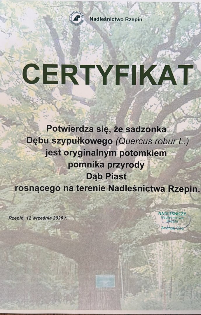 Zdjęcie galerii